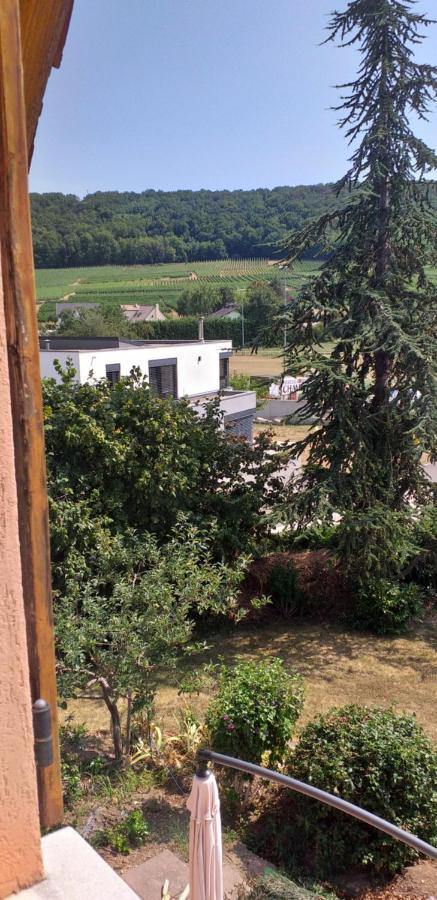 Gite Dans Vignoble Alsacien Westhalten Ngoại thất bức ảnh
